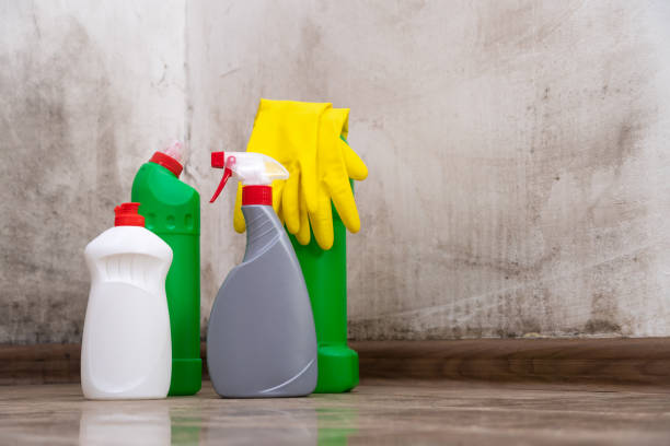 Best Biohazard Mold Removal  in Uniontown, AL